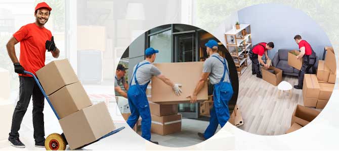 Packers and Movers Noida